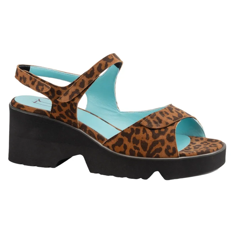 Parrot H - Leopard