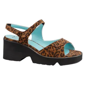 Parrot H - Leopard