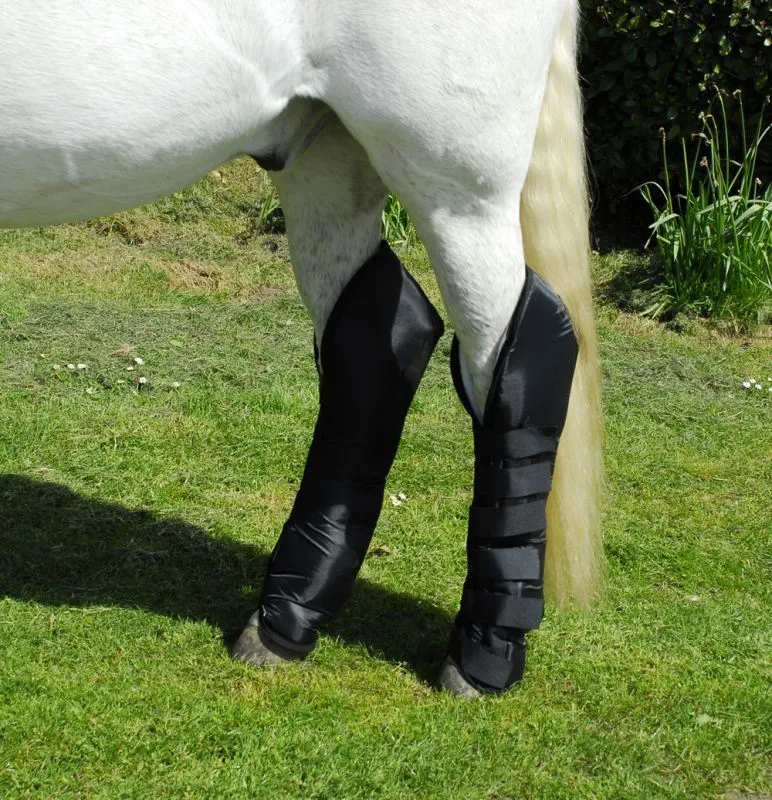 Rhinegold Full Length Travel Boots