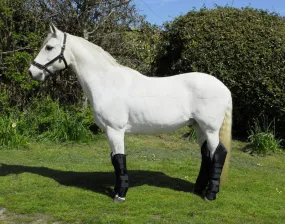 Rhinegold Full Length Travel Boots